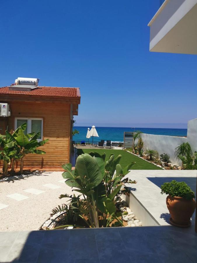 Agia Marina Chrysochous Apartment Kato Yialia Bagian luar foto
