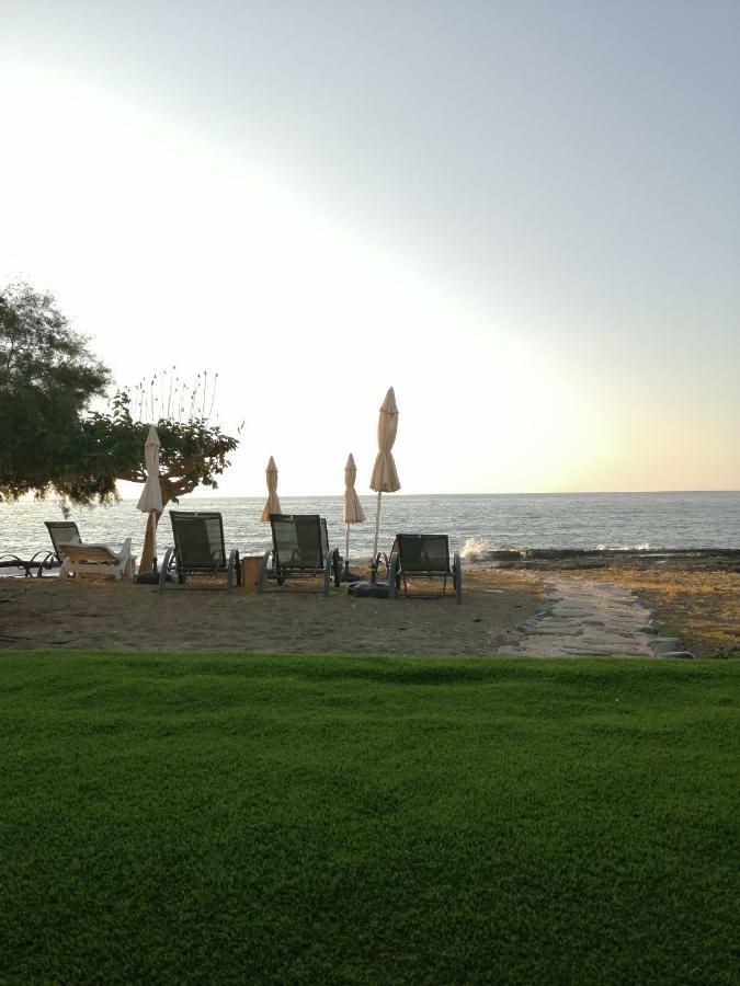 Agia Marina Chrysochous Apartment Kato Yialia Bagian luar foto